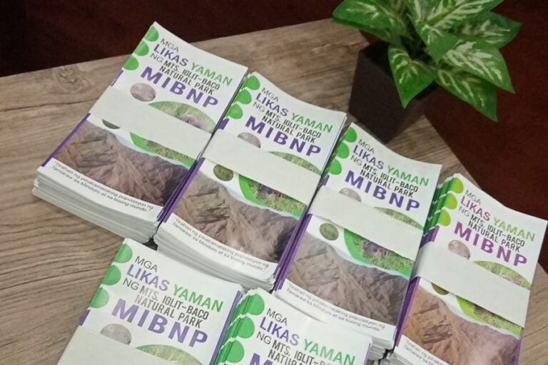 Brochure & Flyer Printing Philippines